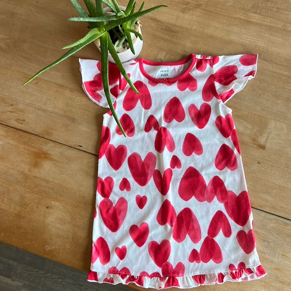 Carters Night Gowns 2T